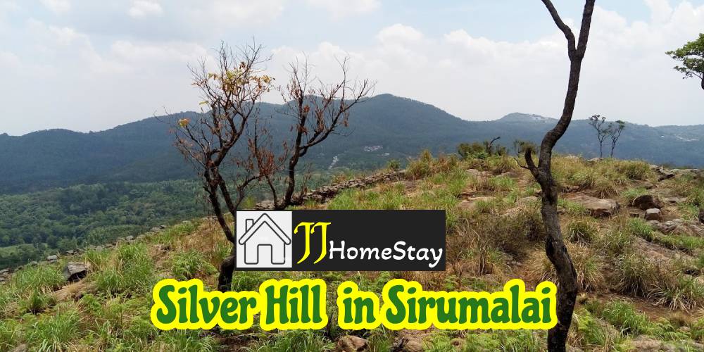 Silver Hills in Sirumalai